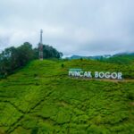 Wisata-di-Puncak-Bogor-Yang-Pas-Buat-Agenda-Liburan-Keluarga